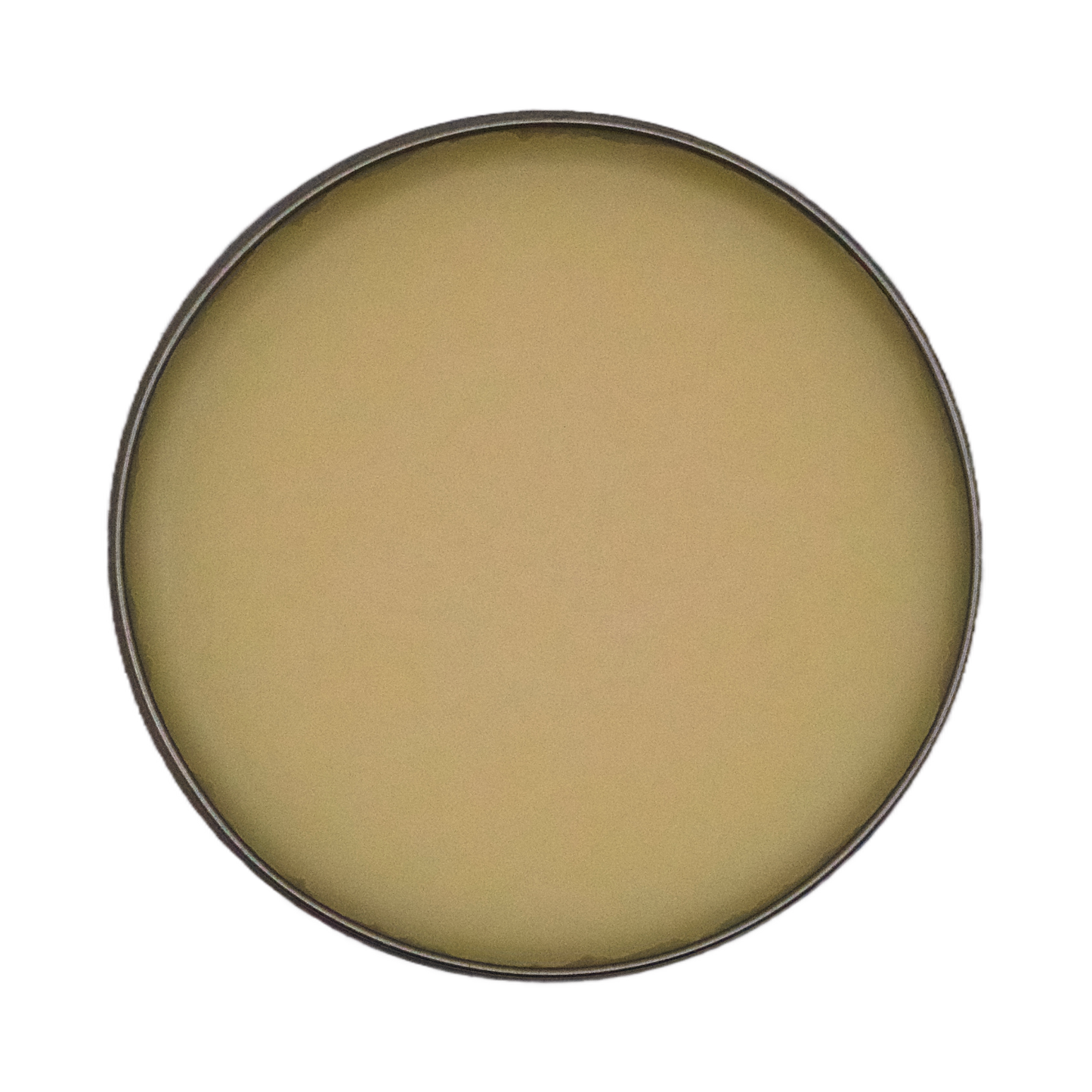 GALA for Shoes Lederfett neutral 100 ml in der offenen klassischen Schuhcreme Dose