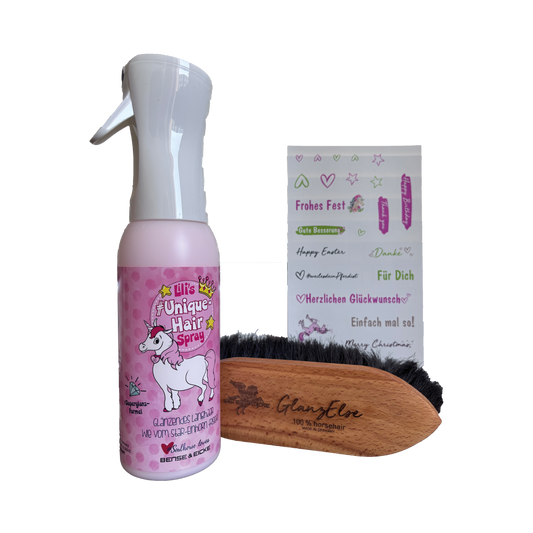 Das Bense & Eicke Geschenkset mit Rosshaar Bürste "GlanzElse" + Spray Starfinish 500 ml "Unicorn Edition" mit Stickerbogen für jede Gelegenheit ohne Verpackung