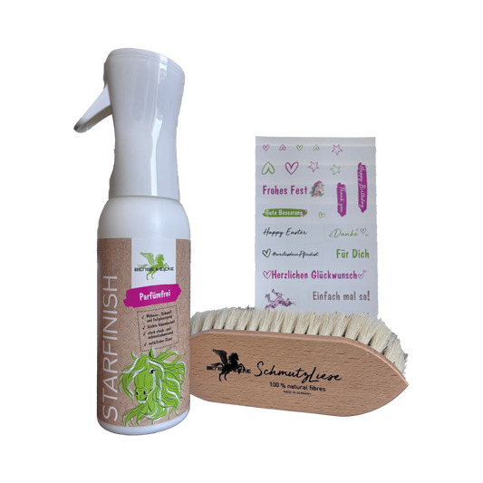 Das Bense & Eicke Geschenkset mit Bürste "SchmutzLiese"mit harten Naturfasern + Starfinish 500 ml Spray, 2teilig, parfümfrei sowie Stickerbogen für jede Gelegenheit ohne Verpackung