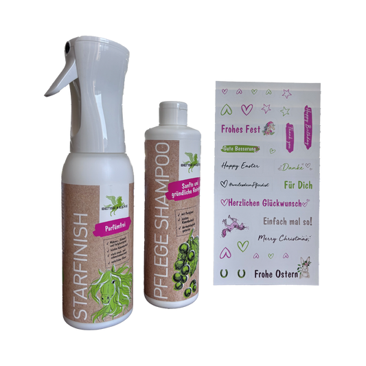 Das Bense & Eicke Geschenkset StarFinish 500 ml parfümfrei + Pflege Shampoo 500 ml sowie Stickerbogen für jede Gelegenheit ohne Verpackung