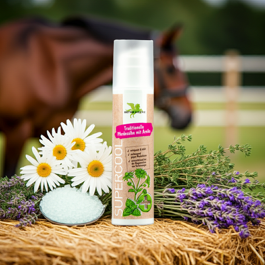 CasaBellissimo Bense & Eicke SuperCool Regenerations- und Wellnessgel 200 ml im Spender auf einem Heuballen dekoriert mit Menthol Kamille und Lavendel und im Hintergrund ein Pferd auf der Koppel