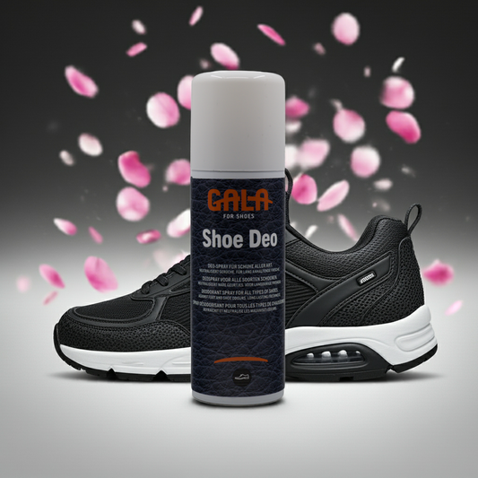 CasaBellissimo GALA for Shoes Schuh-Deo Spray 125 ml im Hintergrund ein schwarzer Sportschuh auf den Rosenblätter regnen 
