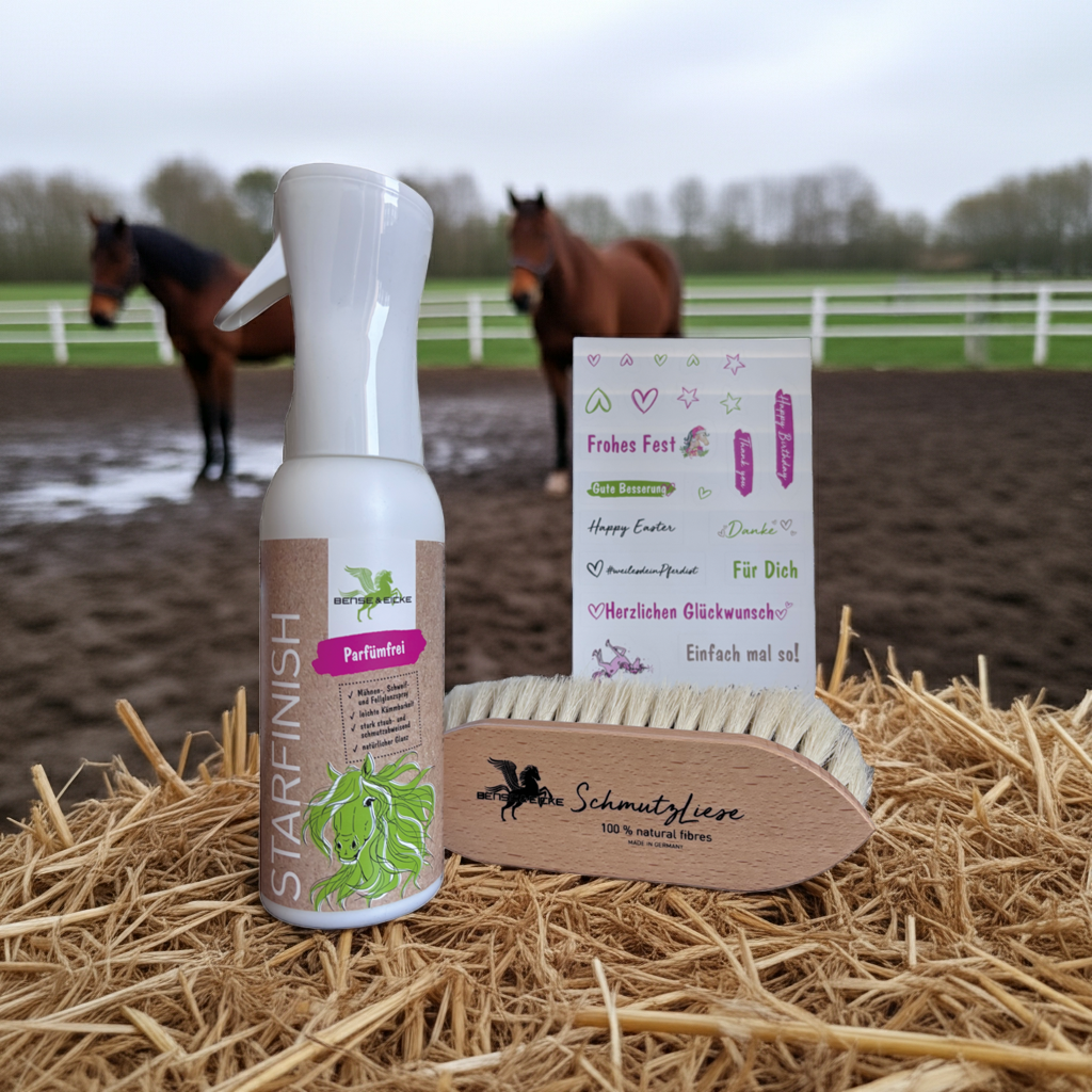 Bense & Eicke Geschenkset "SchmutzLiese" + Starfinish 500 ml, 2teilig, parfümfrei