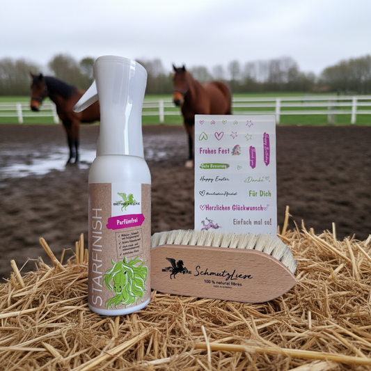 Bense & Eicke Geschenkset "SchmutzLiese" + Starfinish 500 ml, 2teilig, parfümfrei