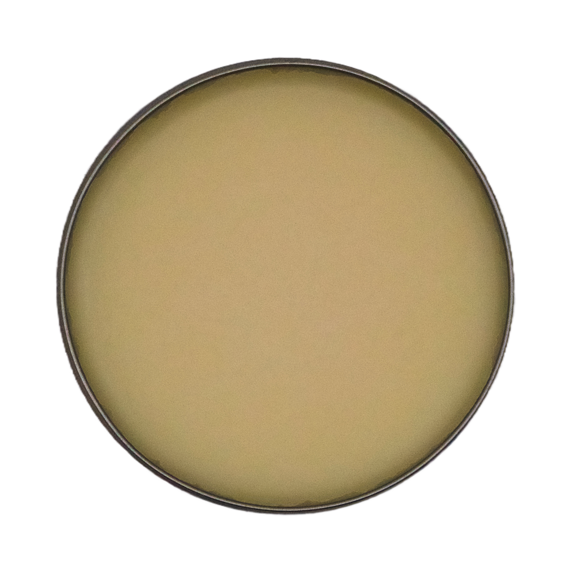 GALA for Shoes Lederfett neutral 100 ml in der offenen klassischen Schuhcreme Dose 