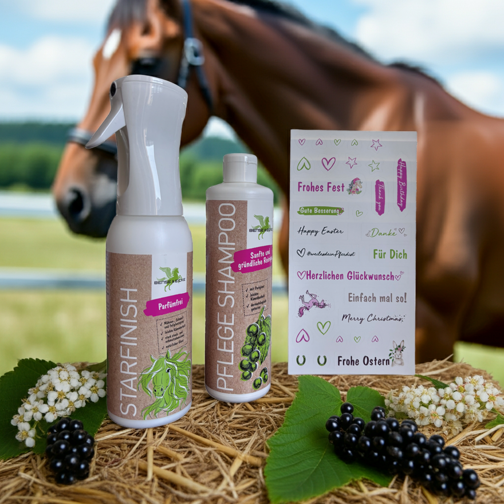 Bense & Eicke Geschenkset StarFinish 500 ml parfümfrei + Pflege Shampoo 500 ml